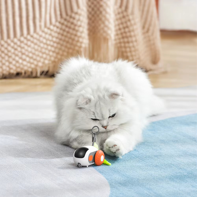 Automatic Gravity Electric Remote Control Cat Toy Pet Puzzle Silicone Sports Car Teaser