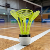 Volants de badminton en nylon et plumes de canard pour le loisir, avec base rigide, pour débutants, vol constant, en plastique mousseux et plumes.