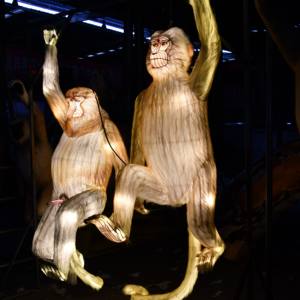 โคมไฟจีน LED กันน้ำสำหรับตกแต่งเทศกาลและขบวนพาเหรด ผลิตตามสั่งสำหรับใช้ภายใน/ภายนอกอาคาร - Product Image 3