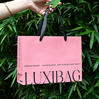 Sac d'emballage artistique coloré aseptique haut de gamme en papier kraft imprimé sur mesure avec poignée en ruban, recyclable, pour cadeaux de boutique et plats à emporter