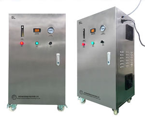 पी स्वर्ण खनन औद्योगिक ऑक्सीजन संकेंद्रक जनरेटर 10l टो100lpm नई 220v विनिर्माण संयंत्र में इंजन मोटर गियर पीएलसी के साथ - Product Image 6