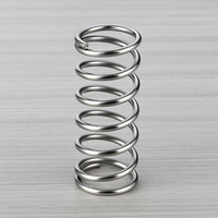 ISO9001 personnalisé 0.5*6*25mm ressorts de compression en spirale en acier inoxydable ovale utilisation industrielle en acier inoxydable