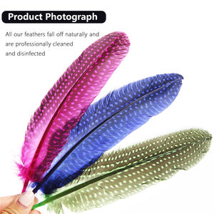 Coloré guinée AILE Plumage Couleur Mixte pour Chapeau Vêtements Accessoire Conception Décoration Fête De Mariage Célébration Choses - Product Image 2