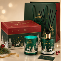 Coffret Cadeau Aikun de Noël : Diffuseur Botanique Festif au Parfum de Pin et Bougie Parfumée avec Pot Givré pour Cadeaux de Fêtes