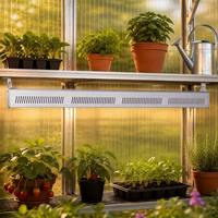 Lampes de culture LED de haute qualité, robustes et stables, à spectre complet personnalisé de 200 W, 3500 K, lumière du soleil, avec lentille intégrée, pour pot de plantes succulentes