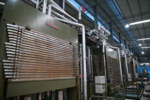 Prix bon marché noir 12 fois 18mm d'épaisseur panneaux de <span class=keywords><strong>contreplaqué</strong></span> revêtus de film marin panneaux de matériaux de bouleau - Product Image 4