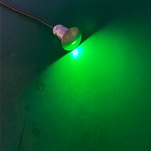 Waterproof I67 12V 24V 1Watt LED Exterior Courtesy Light Recessed Red Blue Green - Product Image 3