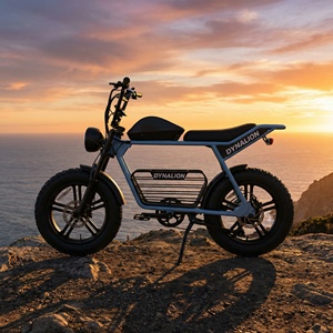 Bicicleta Eléctrica Retro Scrambler con Batería de 48V 16Ah, Bicicleta Eléctrica de Alta Velocidad con Llantas Anchas para Paseos por la Costa - Product Image 5