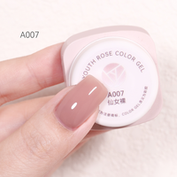 Youth Rose 2025 Nouveau 10 Couleurs Vernis à ongles en gel UV Professionnel Ensemble de vernis à ongles en gel pour salon de manucure pour distributeur Vente en gros Fournitures de manucure