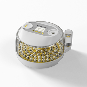 Incubateur d'œufs d'oiseaux de petite taille pour usage domestique, capacité de 79 œufs, mini incubateur automatique pour l'éclosion des œufs, incubateur de cailles, de perroquets et de rutin - Product Image 1