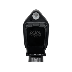 Mua Cuộn Dây Đánh Lửa Chất Lượng Ban Đầu <span class=keywords><strong>F01R00A061</strong></span> Cho LIFAN 330 530 620 630 720 X50 X60 1.3L 1.5L 1.8L Cuộn Dây Đánh Lửa - Product Image 5