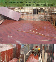 Panneau de contreplaqué en bouleau écologique, surface polie, 9mm-25mm, matériaux de construction extérieurs