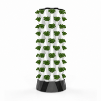 Tour hydroponique commerciale à 10 niveaux pour culture d'ananas avec pompe, pots en filet et éponges de culture pour une plantation haute densité