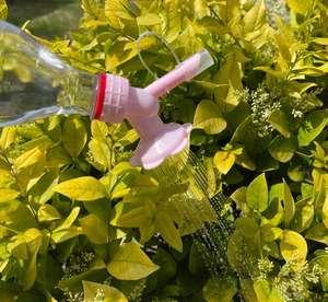 <span class=keywords><strong>Bouteille</strong></span> <span class=keywords><strong>avec</strong></span> bec d'<span class=keywords><strong>arrosage</strong></span> en <span class=keywords><strong>plastique</strong></span>, pour jardin et maison, pièces, buse double tête <span class=keywords><strong>avec</strong></span> buse d'<span class=keywords><strong>arrosage</strong></span> pour plantes, semis d'intérieur - Product Image 6
