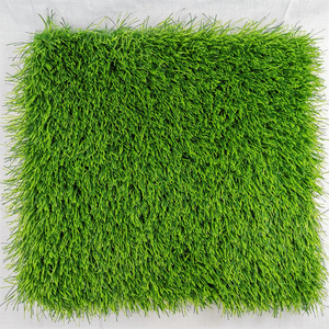 Phổ biến cỏ nhân tạo thảm cho thể thao giá rẻ tổng hợp Turf cho ban công ngoài trời nóng bán cảnh quan cỏ cho sân vườn - Product Image 2