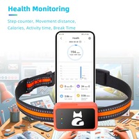 Nouveau design de traceur GPS pour animaux de compagnie avec E-SIM, collier pour chien et chat 4G avec positionnement à distance en temps réel, localisateur de chien