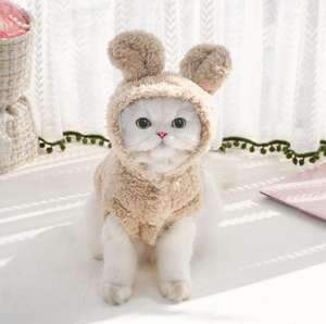 High Quality Soft Cotton Wool Pet Hoodie New <strong>Rabbit</strong> Ears Wholesale Cat Dog Supplies for Winter Pet <strong>Clothes</strong> for Spring Season - Product Image 3