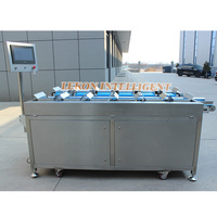 Automatisering 12 pallets fruit, vis en rundvlees multiplatform weegschaal elektronische weegschaal voor combinatie