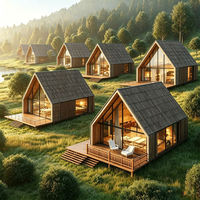 Cabane préfabriquée en forme de A triangulaire, maisons miniatures de 20 pieds, maison en acier en forme de A, maison triangulaire de luxe pour hôtels