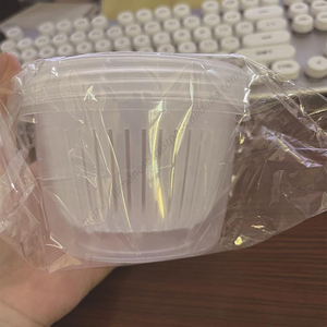 Organizador de Verduras para Cocina DD1105, Contenedor de Plástico Sellado para Guardar Ajo y Cebolla en el Refrigerador, Mantiene Frescos los Productos - Product Image 5