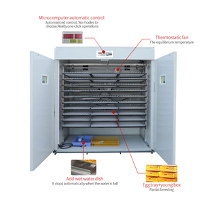 Máy Ấp Trứng/Máy Ấp Trứng Năng Lượng Mặt Trời Máy Ấp Trứng/Máy Ấp Trứng Nepal Để Bán - Product Image 2