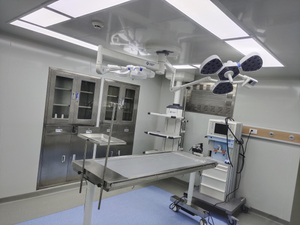 Attrezzature Personalizzate per Ospedali e Cliniche Veterinarie, Pianificazione e Progettazione Completa dell'Ospedale, Consegna Internazionale Porta a Porta EDM - Product Image 1