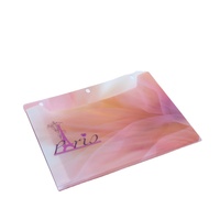 Carpeta de plástico para oficina, portafolio de impresión de offset UV, a la moda, para documentos de mascotas, papelería, nuevo