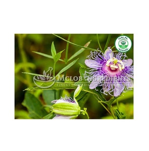 Extrait de fleur de la passion de qualité supérieure, complément alimentaire naturel à base de plantes pour le soulagement du stress, la relaxation, le soutien du sommeil et l'équilibre de l'humeur - Product Image 2