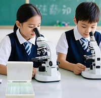 Parasitic Tapeworm Section - Biological Teaching Microscope Slide