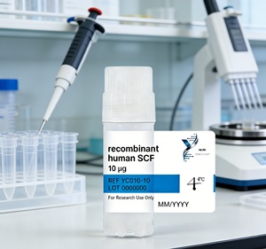 Medio de Cultivo Plástico Sin Suero YUNTUO BIO YM003 para Células Madre Hematopoyéticas Humanas (hMSCs) en Cultivo In Vitro - Product Image 2
