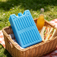 Brique de glace réutilisable de qualité alimentaire pour sac isotherme, conservation au froid longue durée, pour transport alimentaire et camping