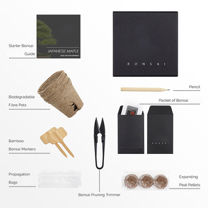 Juego de herramientas de bonsái de arce japonés hecho a mano, kit de estilo rural para principiantes entusiastas, uso de suelo colgante, incluye flores artificiales - Product Image 2