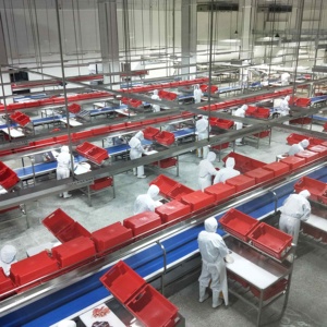 Chaîne <span class=keywords><strong>de</strong></span> convoyage à rouleaux automatique <span class=keywords><strong>en</strong></span> acier inoxydable <span class=keywords><strong>de</strong></span> qualité supérieure pour la production et l'emballage hygiéniques, vente <span class=keywords><strong>en</strong></span> gros directe usine - Product Image 1