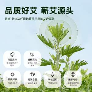 Aceite Esencial Compuesto de Artemisia Argyi 2ml 5ml 10ml 30ml 50ml, Puro y Herbal para Salón de Belleza, Moxibustión y Masajes - Product Image 4