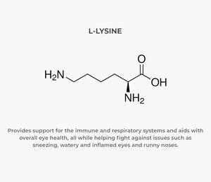 L-<span class=keywords><strong>Lysine</strong></span> <span class=keywords><strong>pour</strong></span> chats supplément <span class=keywords><strong>en</strong></span> <span class=keywords><strong>poudre</strong></span> granules <span class=keywords><strong>pour</strong></span> <span class=keywords><strong>chat</strong></span> froid, soulagement des allergies chats et chatons de tous âges - Product Image 2