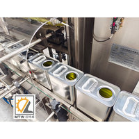 Machine de remplissage automatique d'huile de palme pour bouteilles de liquides visqueux MTW