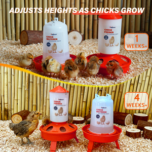 Nouveau type mangeoire et abreuvoir pour poulet avec pattes mangeoire pour poussins mangeoire pour animaux de compagnie - Product Image 6