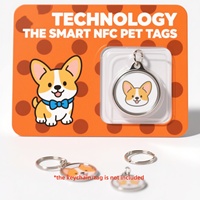 Emballage de porte-clés NFC personnalisé Étiquettes d'identification pour animaux de compagnie Chien chat Blister Souvenir Cadeaux Capsule Carte à clapet