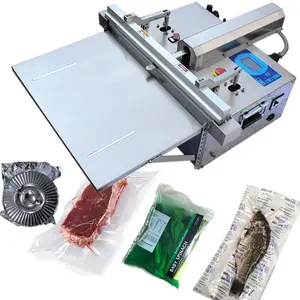 DZ DZQ 800 external commercial vacuum packing machine large bag nitrogen gas flush vacuum sealer