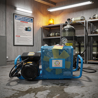 Compresseur d'air portable 100L pour lutte contre les incendies, 30 bars, prix direct fabricant, compresseur d'air mobile pour SCBA, vente en gros