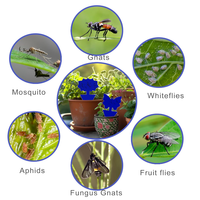 Vente en gros d'autocollants de mouches de plantes bleues non toxiques Pièges à insectes volants pour plantes