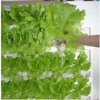 Pots en filet de 4 pouces pour serre, culture hors sol, hydroponie, aquaponie, paniers de plantation en maille