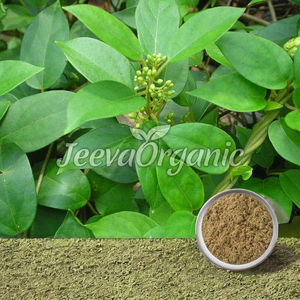 Certificado orgánico, polvo de hoja de Moringa, extracto de hierbas en botella, lata de tambor o envase de vidrio - Product Image 4