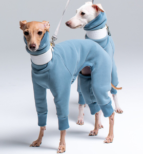 Mono italiano de yogurt, bandana, <span class=keywords><strong>galgo</strong></span> - Product Image 6