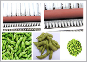 Nouvelle conception <span class=keywords><strong>de</strong></span> machine à peler les haricots miniatures, <span class=keywords><strong>prix</strong></span> des machines à peler les haricots, machine à peler les haricots frais - Product Image 5