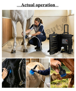 Appareil de thérapie par ondes de choc focalisées pour équidés, durable et réutilisable, avec sortie stable à long terme, <span class=keywords><strong>prix</strong></span> direct usine - Product Image 4