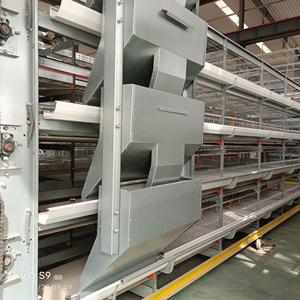 JUXIN hayvan ve kanatlı hayvancılık ekipmanları H tipi pil kafesi tavuk kümesi tavuk kafesleri katman - Product Image 5