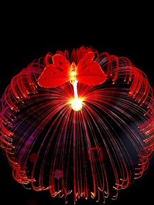 Đèn sợi quang LED năng lượng mặt trời, chống nước IP65, nhẹ, hình con bướm sứa, điều chỉnh nhiệt độ màu, 8000 giờ chiếu sáng - Product Image 3