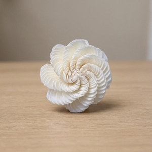 Sola Wood Eco-Friendly 5 cm Artificial <b>Reed</b> <b>Diffuser</b> Aesthetic Advantage Bulk Home Wedding Decorative Flowers Plants White - Product Image 2