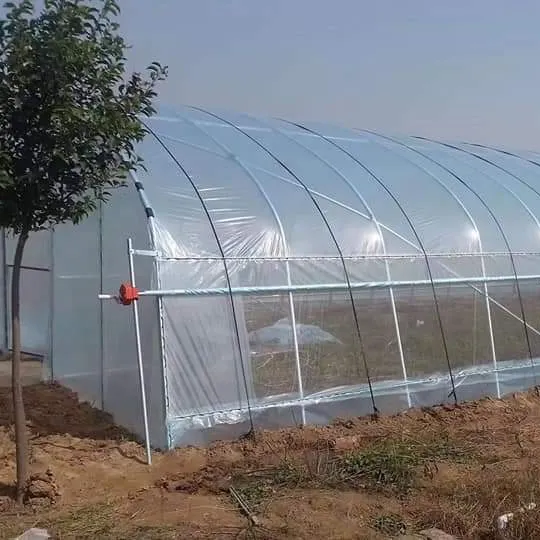 SUNSGH-Serre de culture maraîchère à travée unique pour légumes, serre tunnel en plastique à vendre, SUNSGH